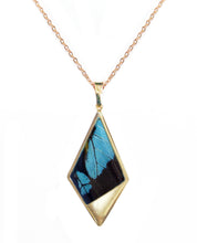 Load image into Gallery viewer, Real Butterfly Wing Kite Pendant Necklace - Papilio Bromius Hindwing

