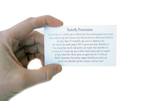 Load image into Gallery viewer, 6x8 Real Blue Morpho Didius Butterfly on Map