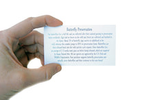 Load image into Gallery viewer, 5x5 Real Butterfly on Map - Papilio Daedalus