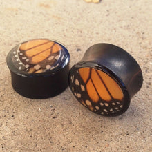 Load image into Gallery viewer, Real Moth Wing Circle Plugs 1/2"-1 1/2"- Monarch Forewing - Body Jewelry, Gauges, Plugs