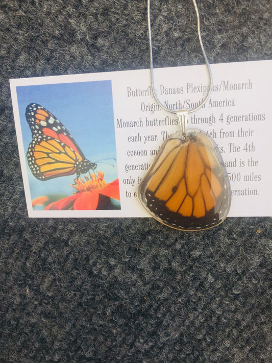 Monarch hindwing necklace, alternate view