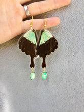 Load image into Gallery viewer, Real Butterfly Wing Charm Earrings - Papilio Phorcas
