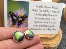 Load image into Gallery viewer, Electric Green Butterfly Wing Post Earrings - Graphium Weiskei Green