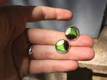 Load image into Gallery viewer, Electric Green Butterfly Wing Post Earrings - Graphium Weiskei Green