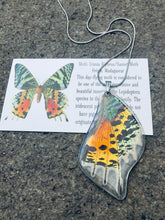 Load image into Gallery viewer, Recycled Butterfly Wing Necklace - Rainbow Sunset Moth - Butterfly Gift, Nature Theme Jewelry
