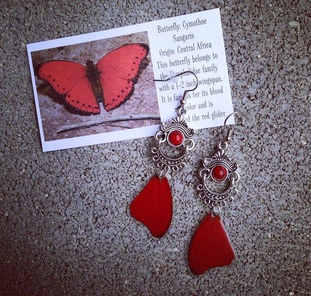 Real Red Butterfly Wing Earrings with Pearl – Cymothoe Sangaris