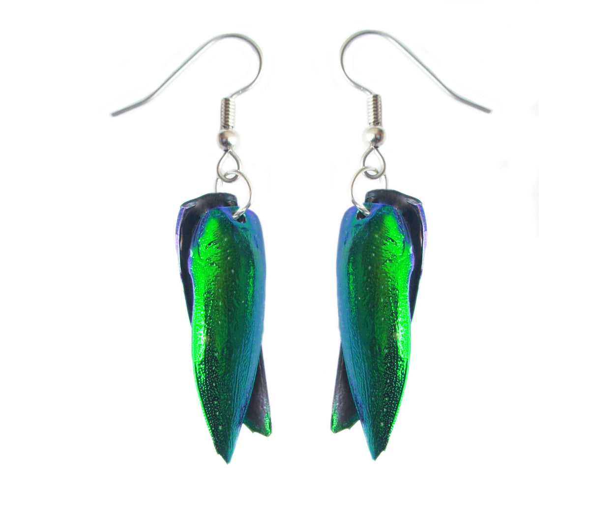 Real iridescent green beetle wing earrings showing front and back