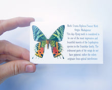 Load image into Gallery viewer, Real Butterfly Wing Ring - Rainbow Sunset Moth Marquis
