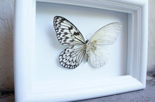 Load image into Gallery viewer, 5x7 Mixed Media Steampunk Butterfly Shadow Box - Rice Paper With Scales Removed
