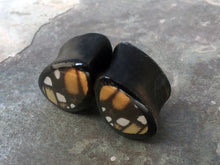 Load image into Gallery viewer, Real Butterfly Wing Teardrop Plugs 1/2&quot;-1 1/2&quot;- Monarch Forewing - Body Jewelry, Gauges, Teardrop Plugs
