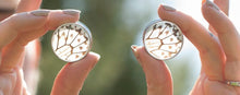 Load image into Gallery viewer, Real Butterfly Wing Circle Tunnels - Rice Paper