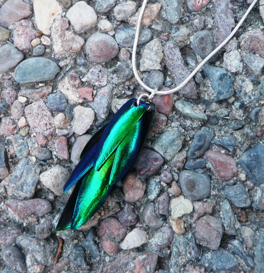 Beetle wing necklace, alternate view