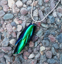 Load image into Gallery viewer, Real Beetle Wing Necklace