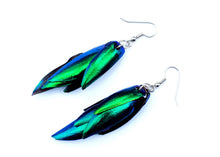 Load image into Gallery viewer, Real Beetle Wing Earrings - Regular Size