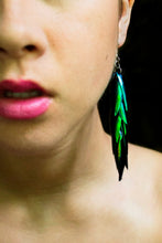 Load image into Gallery viewer, Real Beetle Wing Earrings - (3.5" long - medium size)