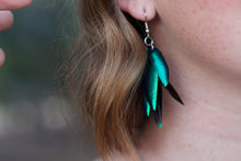 Load image into Gallery viewer, Real Beetle Wing Earrings - Regular Size