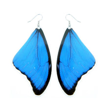 Load image into Gallery viewer, (LARGE SIZE) Real Blue Morpho Butterfly Wing Earrings