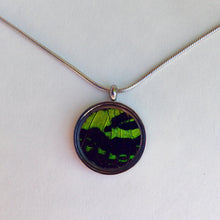Load image into Gallery viewer, Real Butterfly Necklace Pendant - Green Sunset Moth
