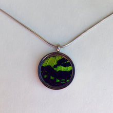 Load image into Gallery viewer, Real Butterfly Necklace Pendant - Green Sunset Moth