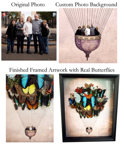 Real Butterfly Hot Air Balloon Zeppelin Framed Art