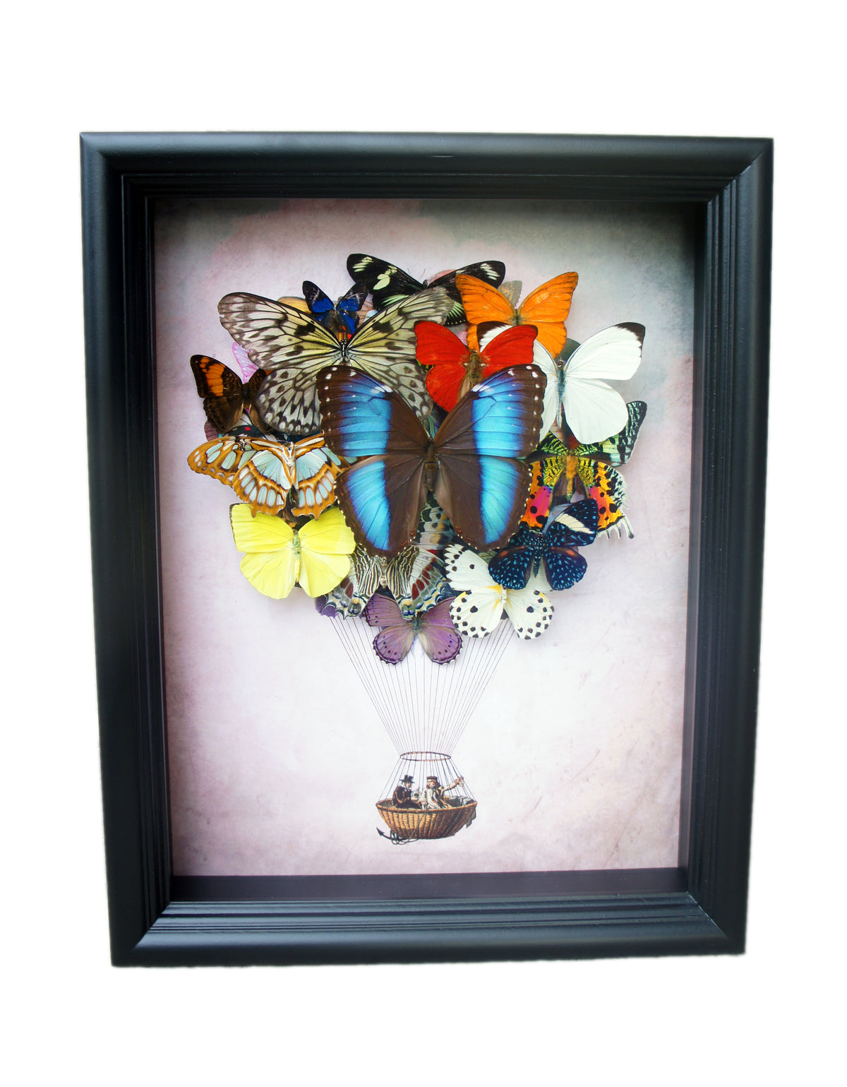 Butterfly hot air balloon art, alternate view