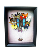 Load image into Gallery viewer, Real Butterfly Hot Air Balloon Zeppelin Framed Art
