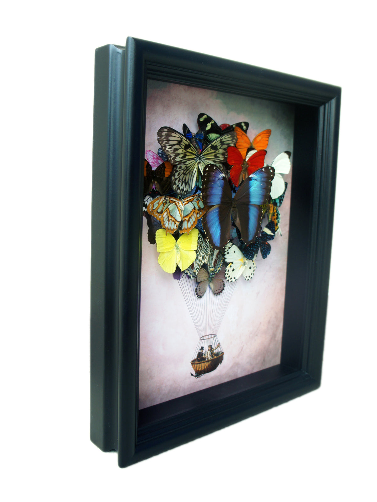 Real Butterfly Hot Air Balloon Zeppelin Framed Art