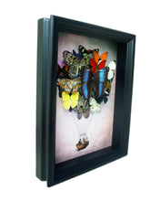 Load image into Gallery viewer, Real Butterfly Hot Air Balloon Zeppelin Framed Art

