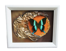 Load image into Gallery viewer, 8 x 10 Butterfly Scultpure Wall Art
