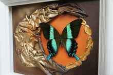 Load image into Gallery viewer, 8 x 10 Butterfly Scultpure Wall Art
