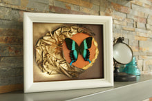 Load image into Gallery viewer, 8 x 10 Butterfly Scultpure Wall Art
