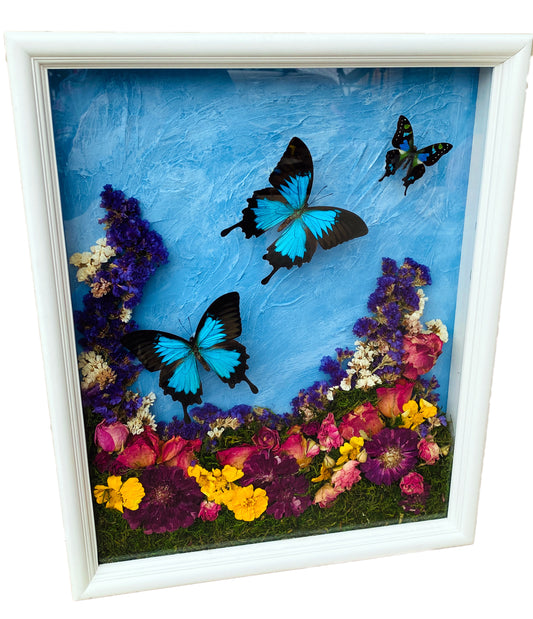 Real butterflies and preserved flowers in a 16x20 wood shadow box