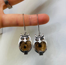 Load image into Gallery viewer, Real Butterfly Wing Owl Matching Set
