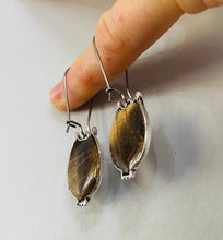 Load image into Gallery viewer, Real Butterfly Wing Owl Matching Set
