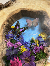 Load image into Gallery viewer, 14 x 18 Hollow Log Nature Scene
