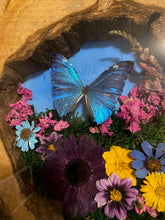 Load image into Gallery viewer, 14 x 18 Hollow Log Nature Scene
