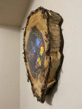 Load image into Gallery viewer, 14 x 18 Hollow Log Nature Scene
