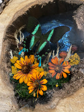 Load image into Gallery viewer, 14 x 18 Hollow Log Nature Scene
