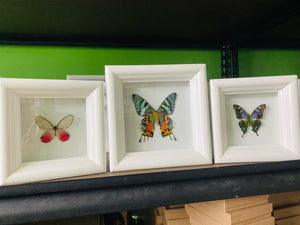Custom Listing for (3) shadowboxes