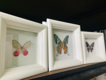 Load image into Gallery viewer, Custom Listing for (3) shadowboxes
