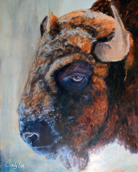Original hand-painted buffalo painting, 11x14