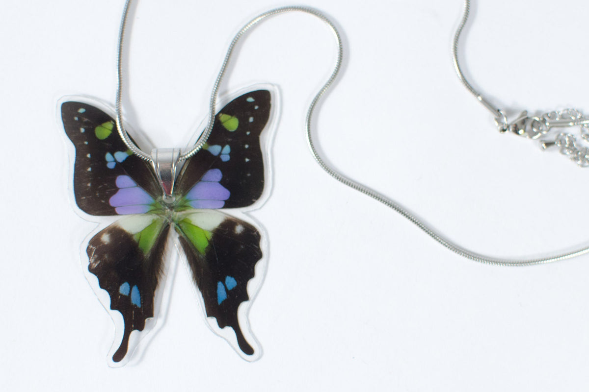 Real Whole Butterfly Necklace on 18" Chain