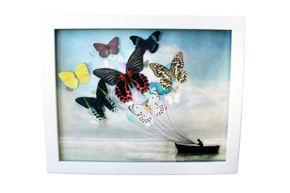Real Butterfly Sailboat Framed Art – Coastal