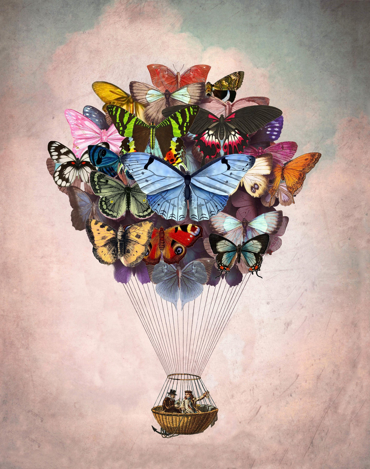 Butterfly Hot Air Balloon Art Print