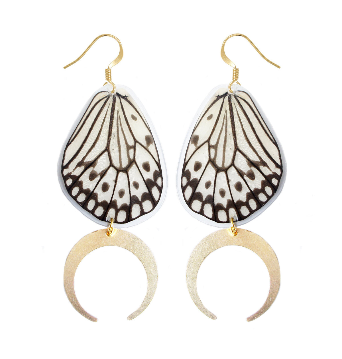 Real Painted Jezebel Wing Earrings with Crescent Moons – Delias Hyparete