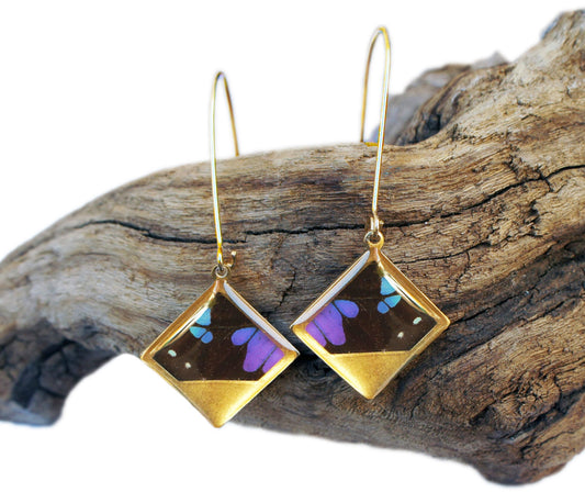 Real Butterfly Wing Gold Diamond Dangle Earrings