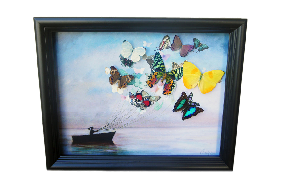 Real Butterfly Sailboat Framed Art – Bohemian Beach
