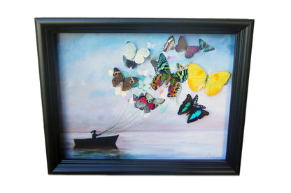 Real Butterfly Sailboat Framed Art – Bohemian Beach