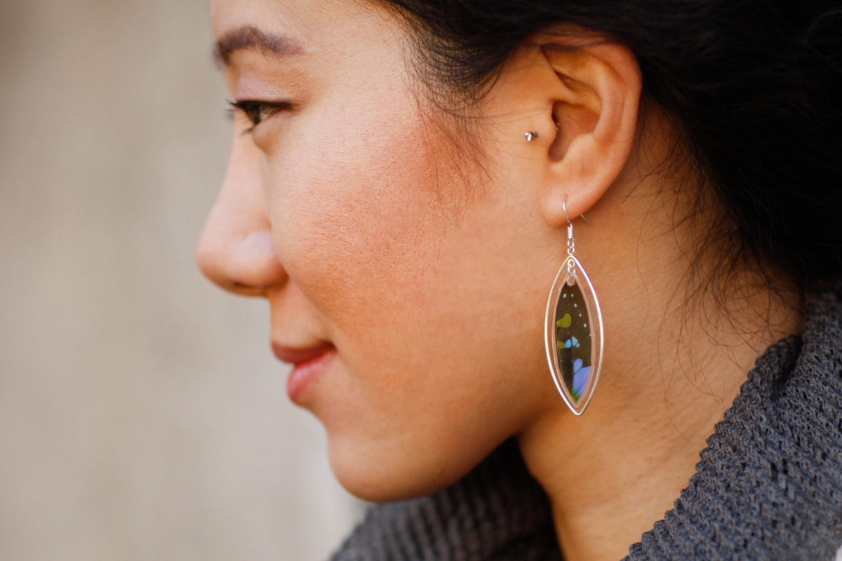Real Purple Spotted Swallowtail Wing Teardrop Earrings in Sterling Silver – Graphium Weiskei