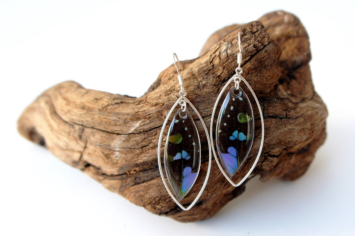 Real Purple Spotted Swallowtail Wing Teardrop Earrings in Sterling Silver – Graphium Weiskei